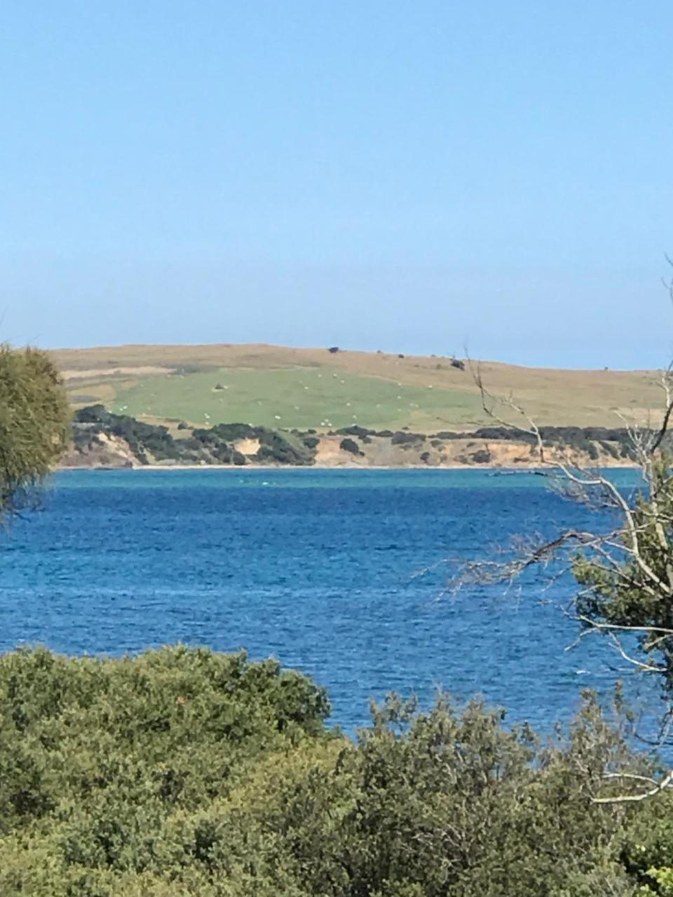 הוילה Cape Woolamai Bunya By The Sea מראה חיצוני תמונה